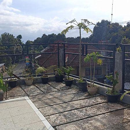 Puri Pilihani Hostel Munduk Eksteriør bilde